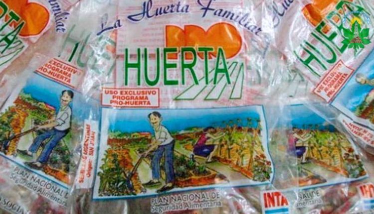 Programa Pro Huerta: Beneficiando la economía familiar